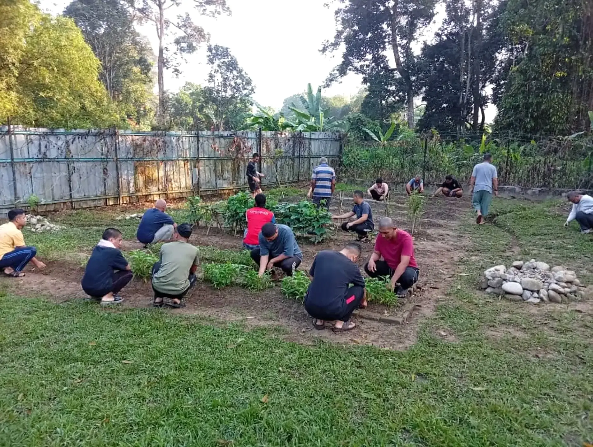 Aktiviti hortikultur dan penjagaan kawasan